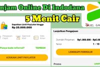 Pinjaman Online Indodana: Solusi Cepat Cair untuk Kebutuhan